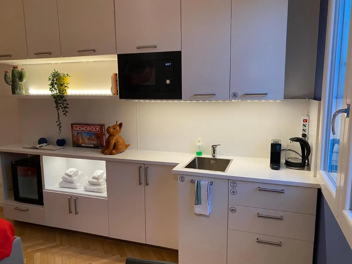Tra Le Torri B&B - Ampia Stanza Privata In Appartamento Con Bagno Privato Accessibile Da Corridoio Bologna 0*,